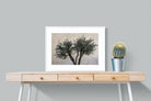 Pixalot Olive Trees Pair