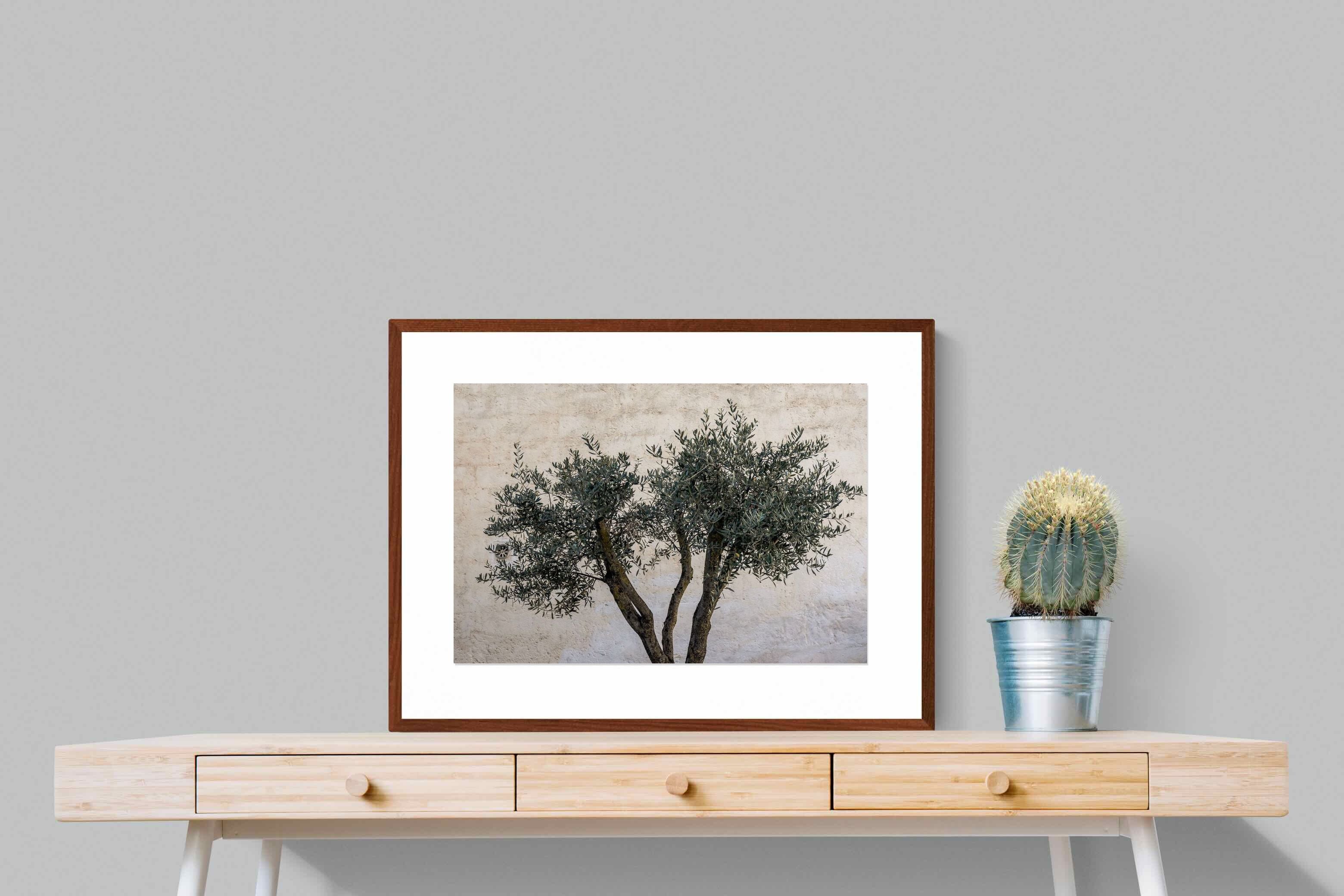 Pixalot Olive Trees Pair