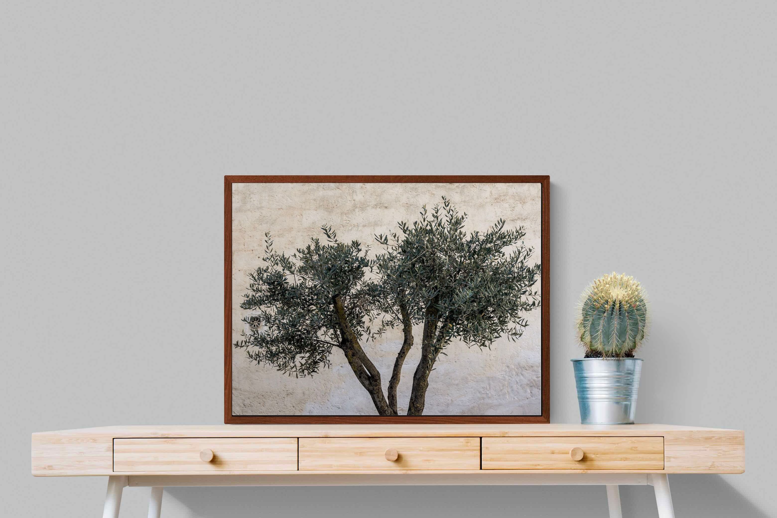 Pixalot Olive Trees Pair