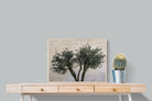 Pixalot Olive Trees Pair