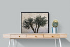 Pixalot Olive Trees Pair