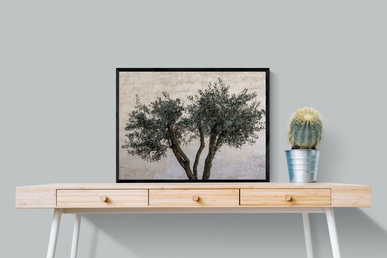 Pixalot Olive Trees Pair