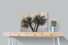 Pixalot Olive Trees Pair