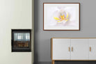 Pixalot ® Orchid
