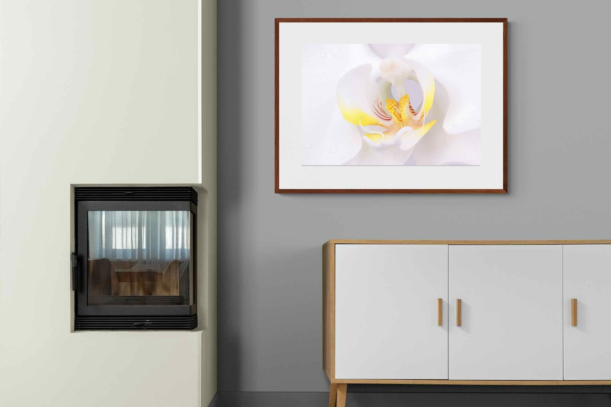 Pixalot ® Orchid