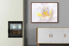 Pixalot ® Orchid