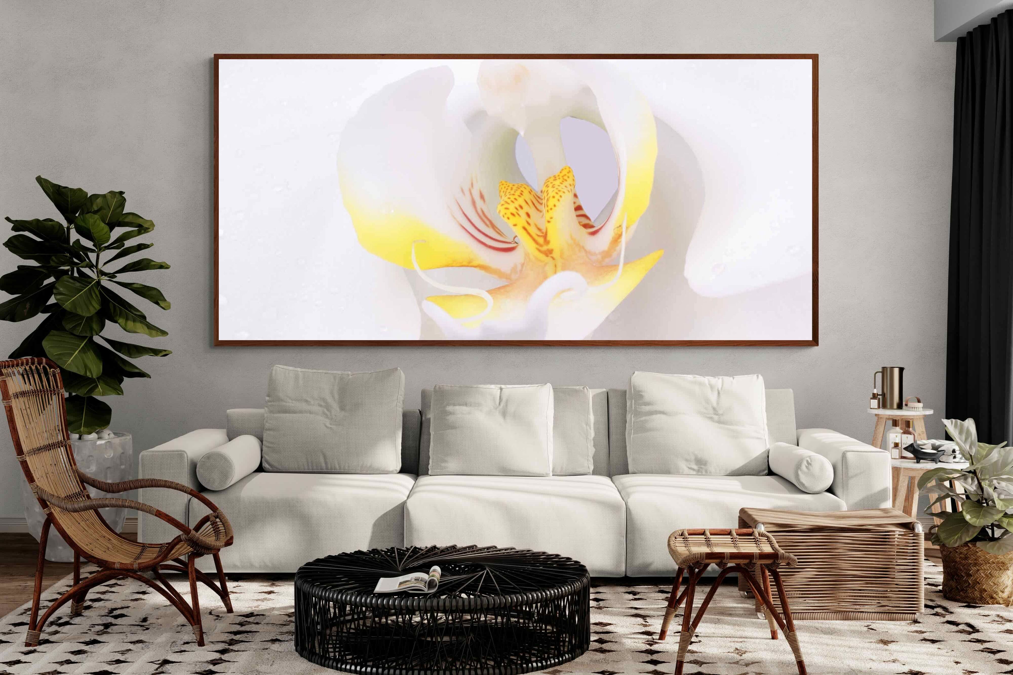 Pixalot ® Orchid