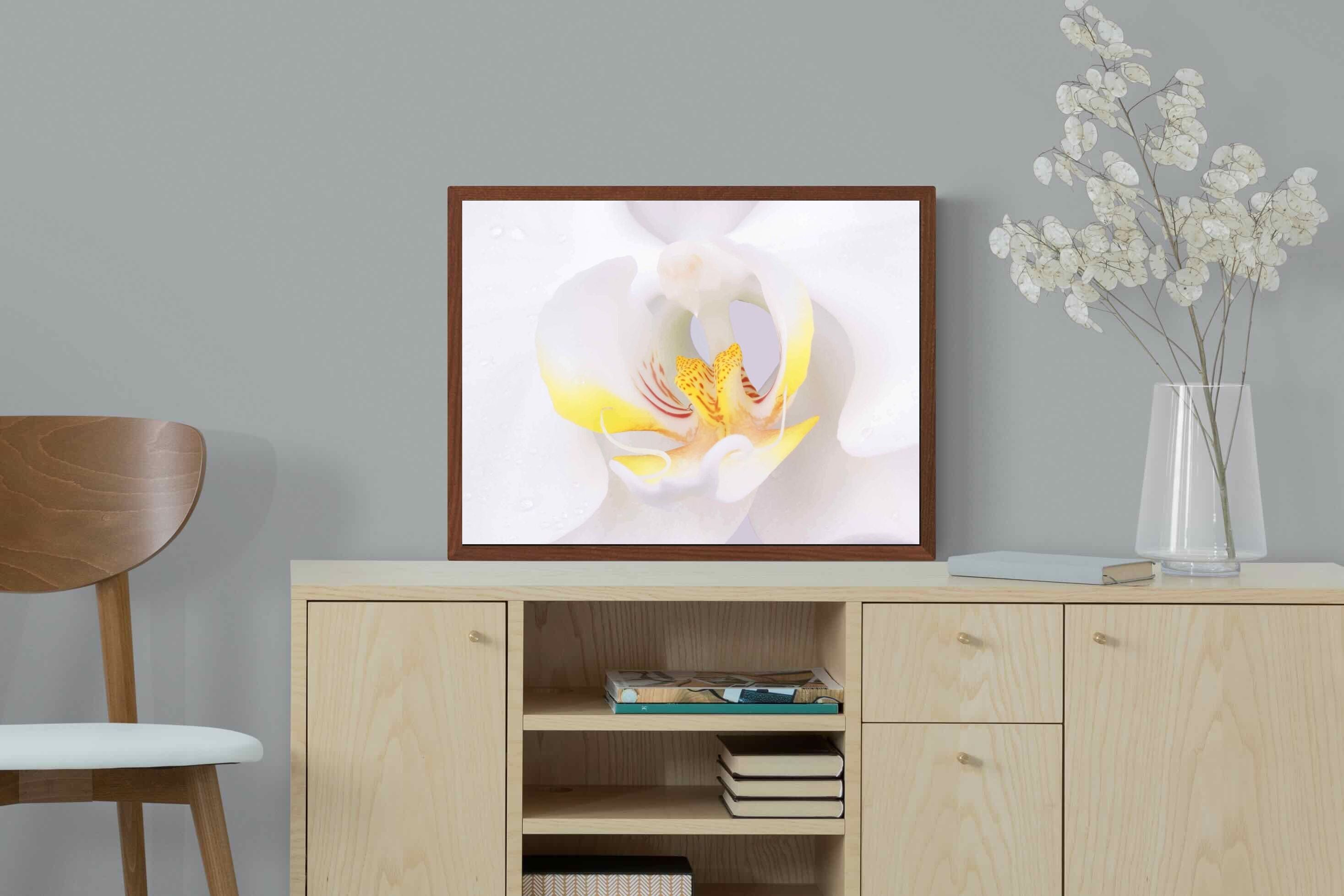 Pixalot ® Orchid
