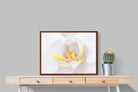 Pixalot ® Orchid