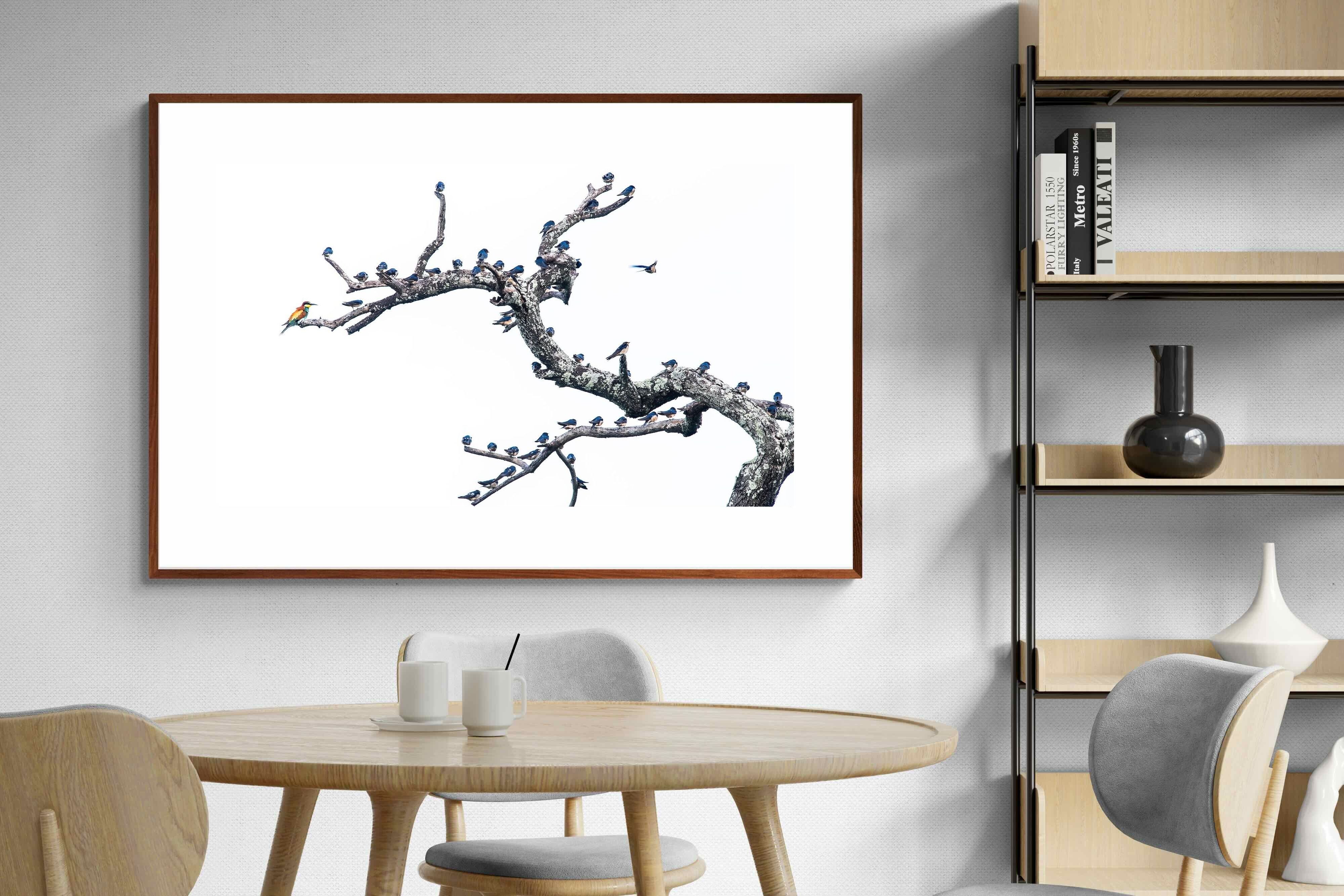 Pixalot Out of the Ordinary