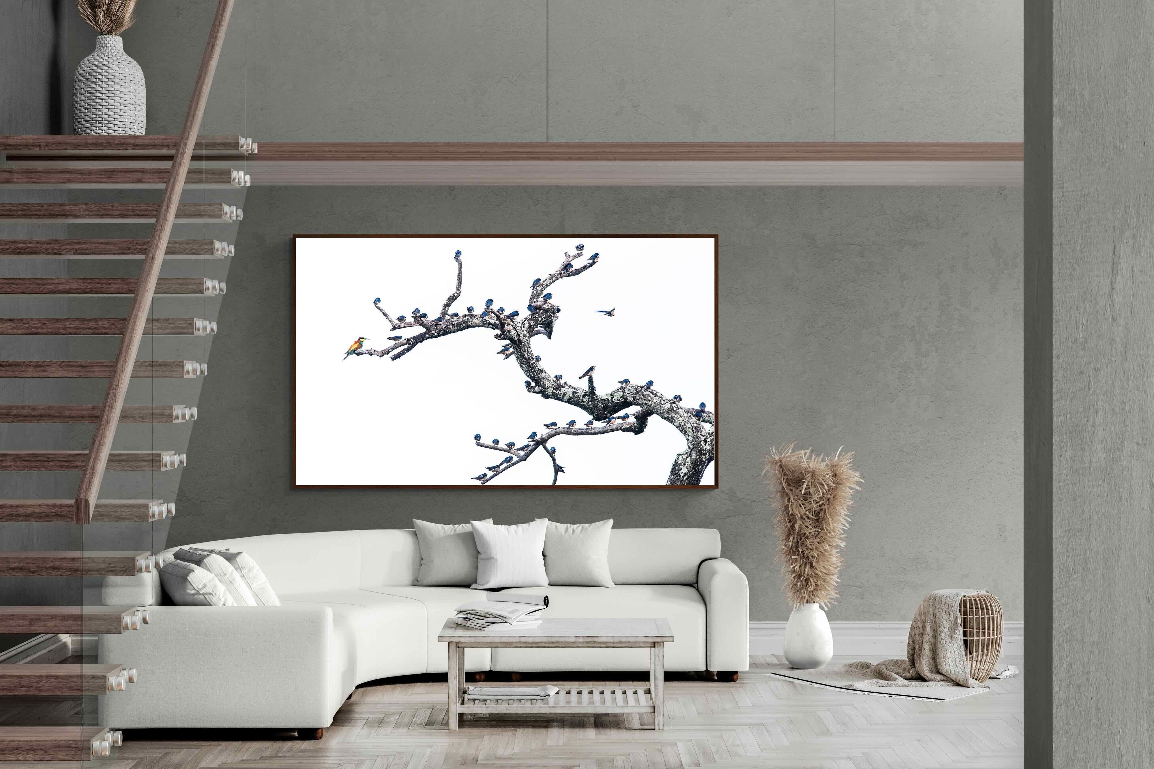 Pixalot Out of the Ordinary