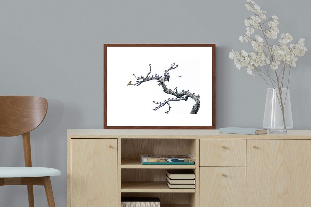 Pixalot Out of the Ordinary