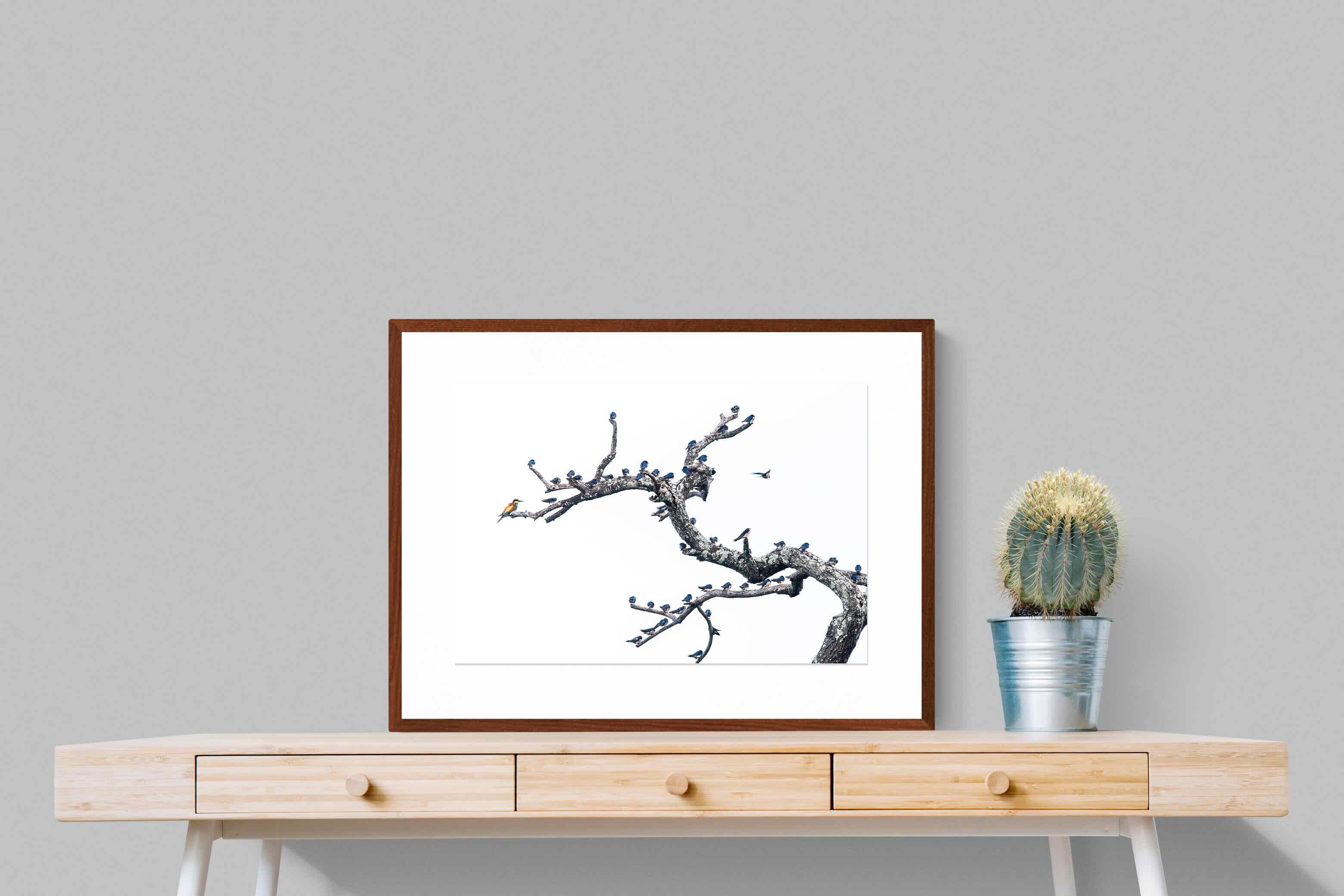 Pixalot Out of the Ordinary