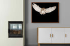 Pixalot ® Owl Attack