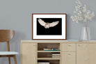 Pixalot ® Owl Attack
