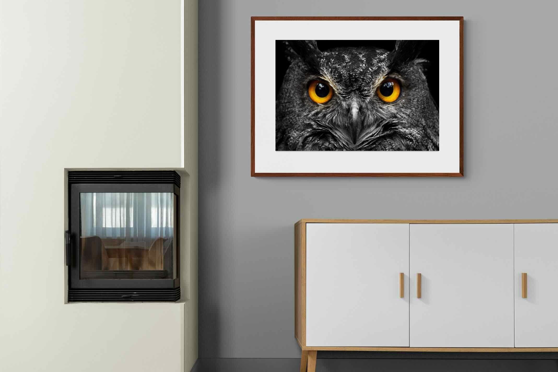 Pixalot ® Owl Eyes