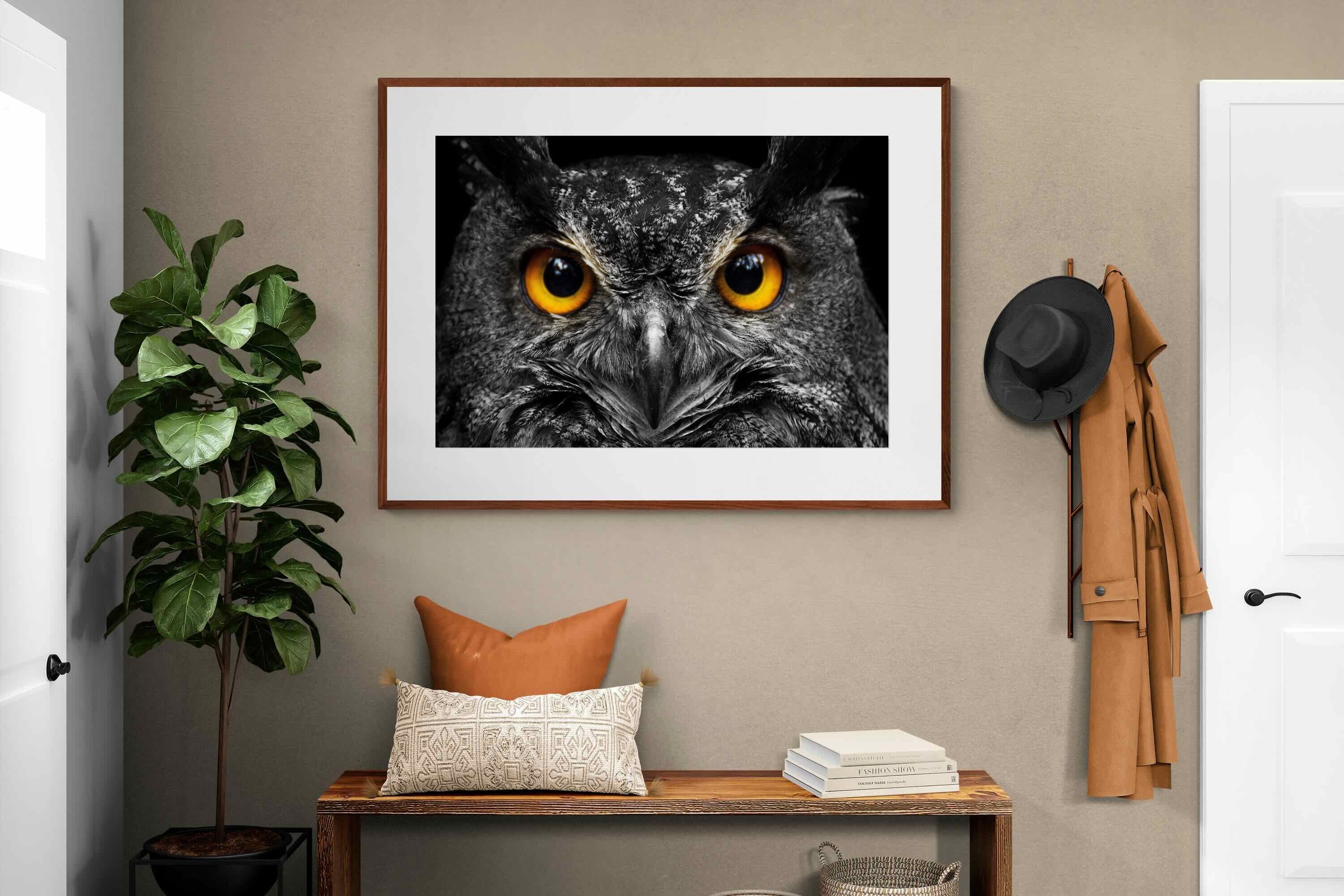 Pixalot ® Owl Eyes