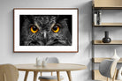 Pixalot ® Owl Eyes