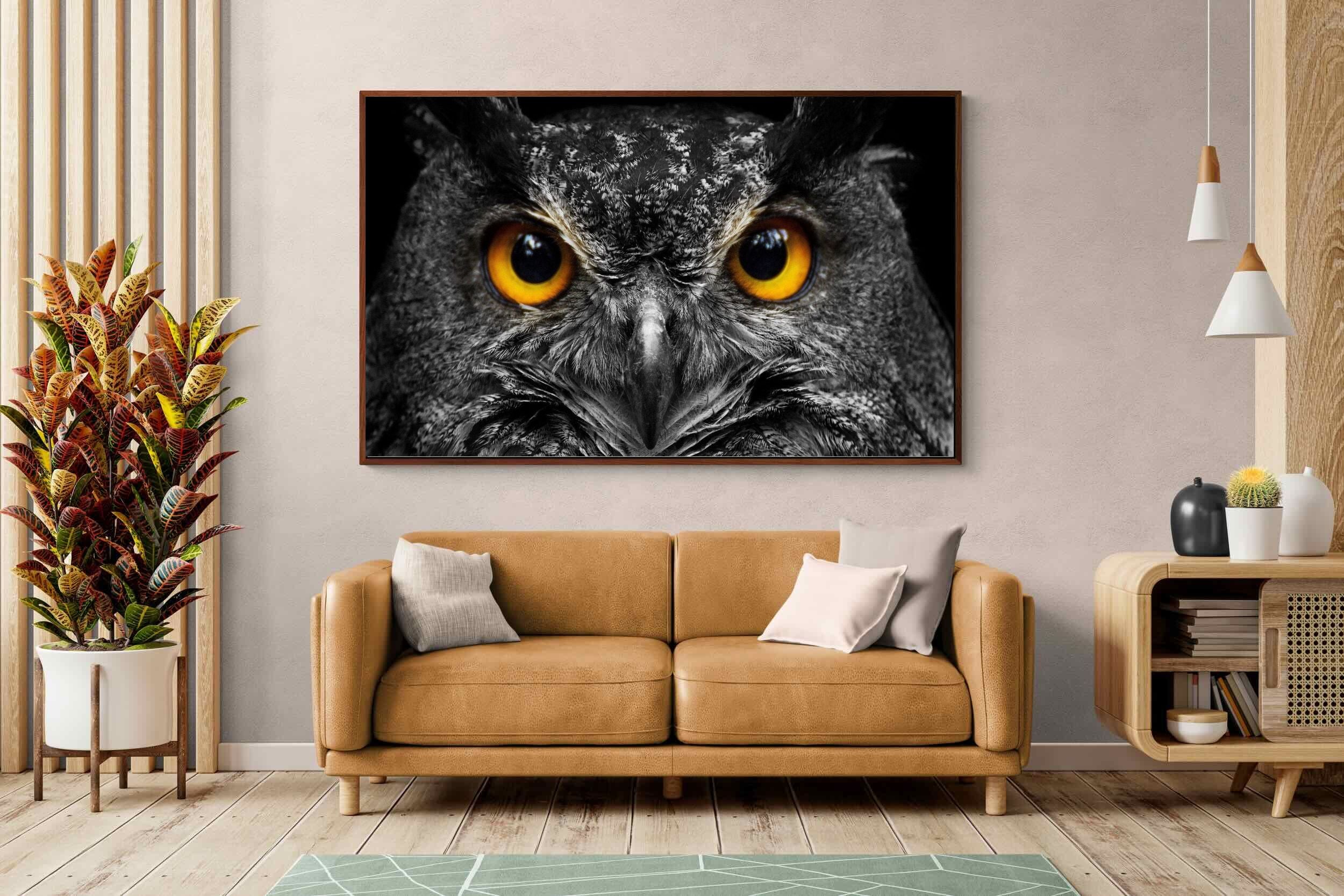 Pixalot ® Owl Eyes
