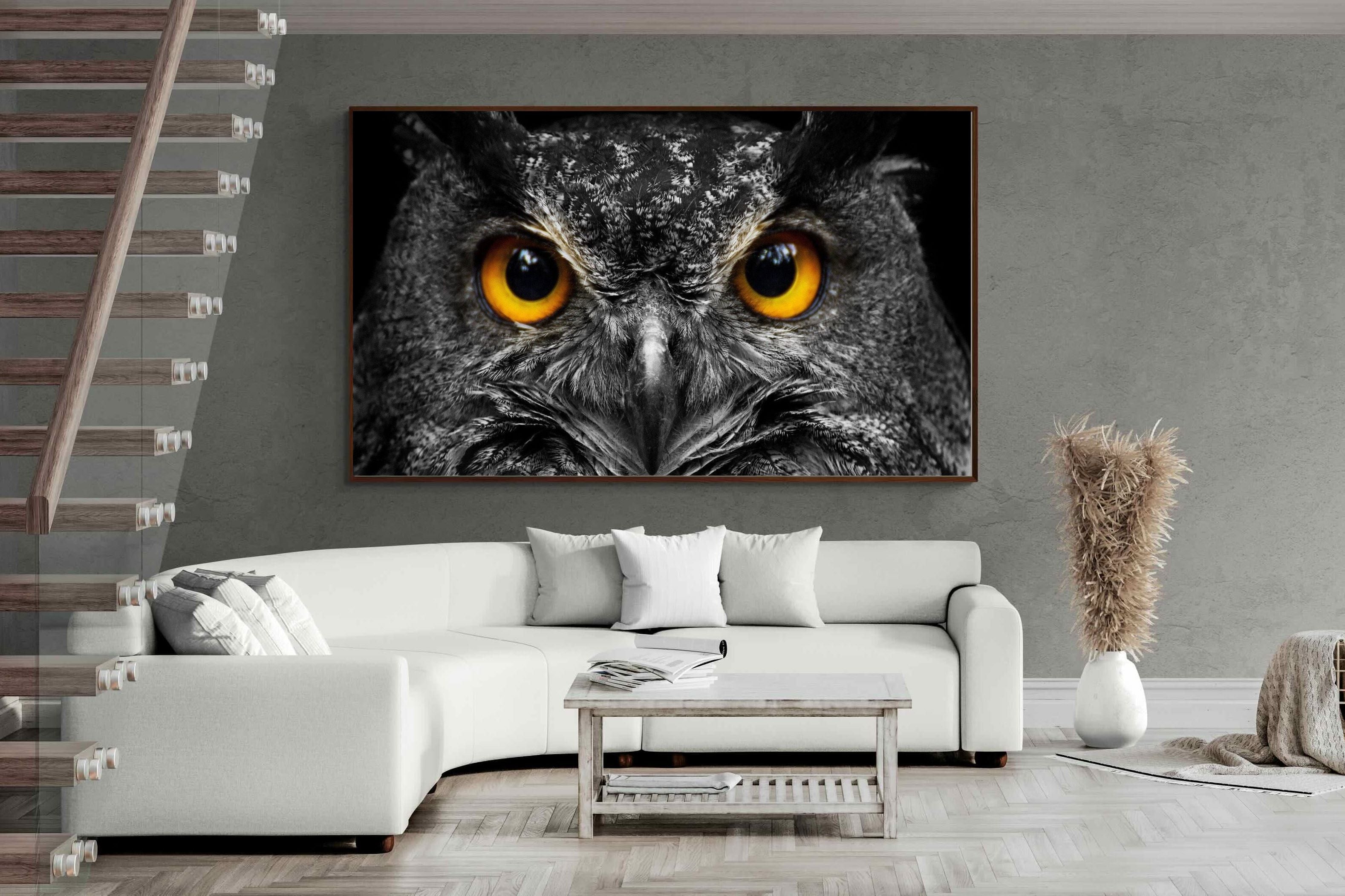 Pixalot ® Owl Eyes