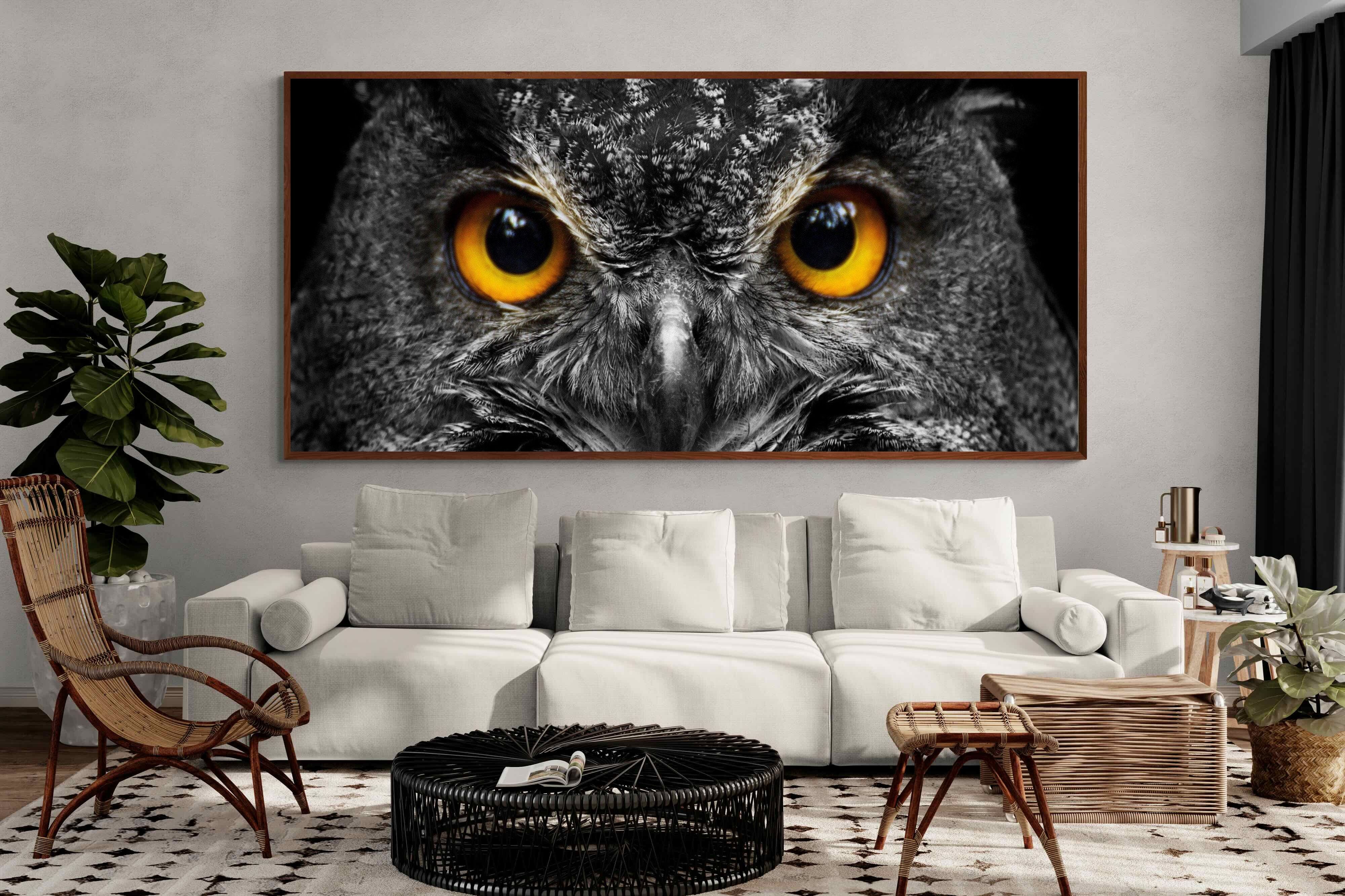 Pixalot ® Owl Eyes