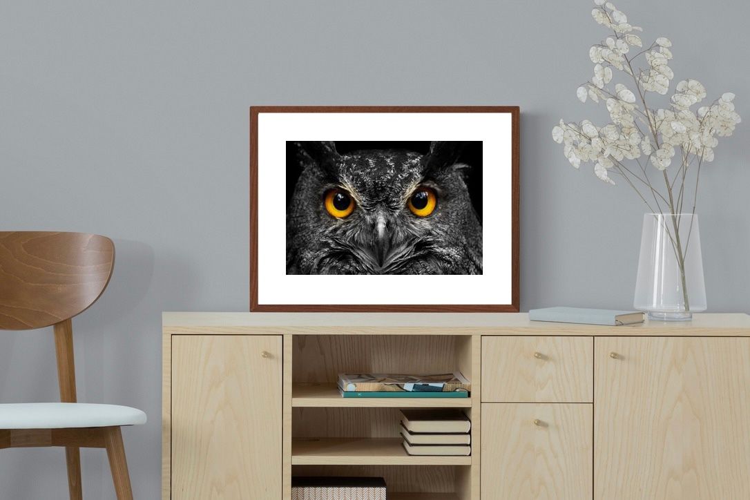 Pixalot ® Owl Eyes
