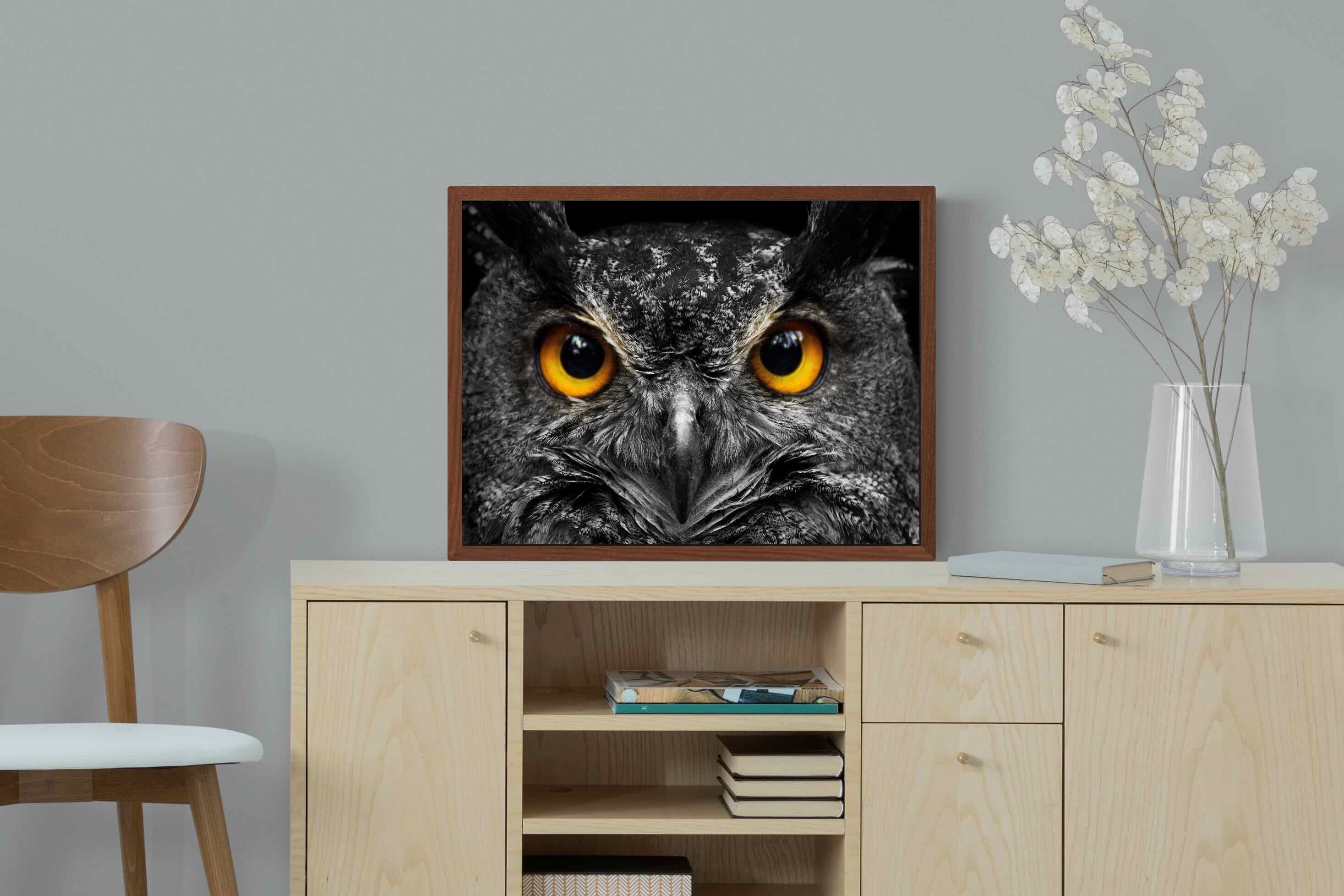 Pixalot ® Owl Eyes