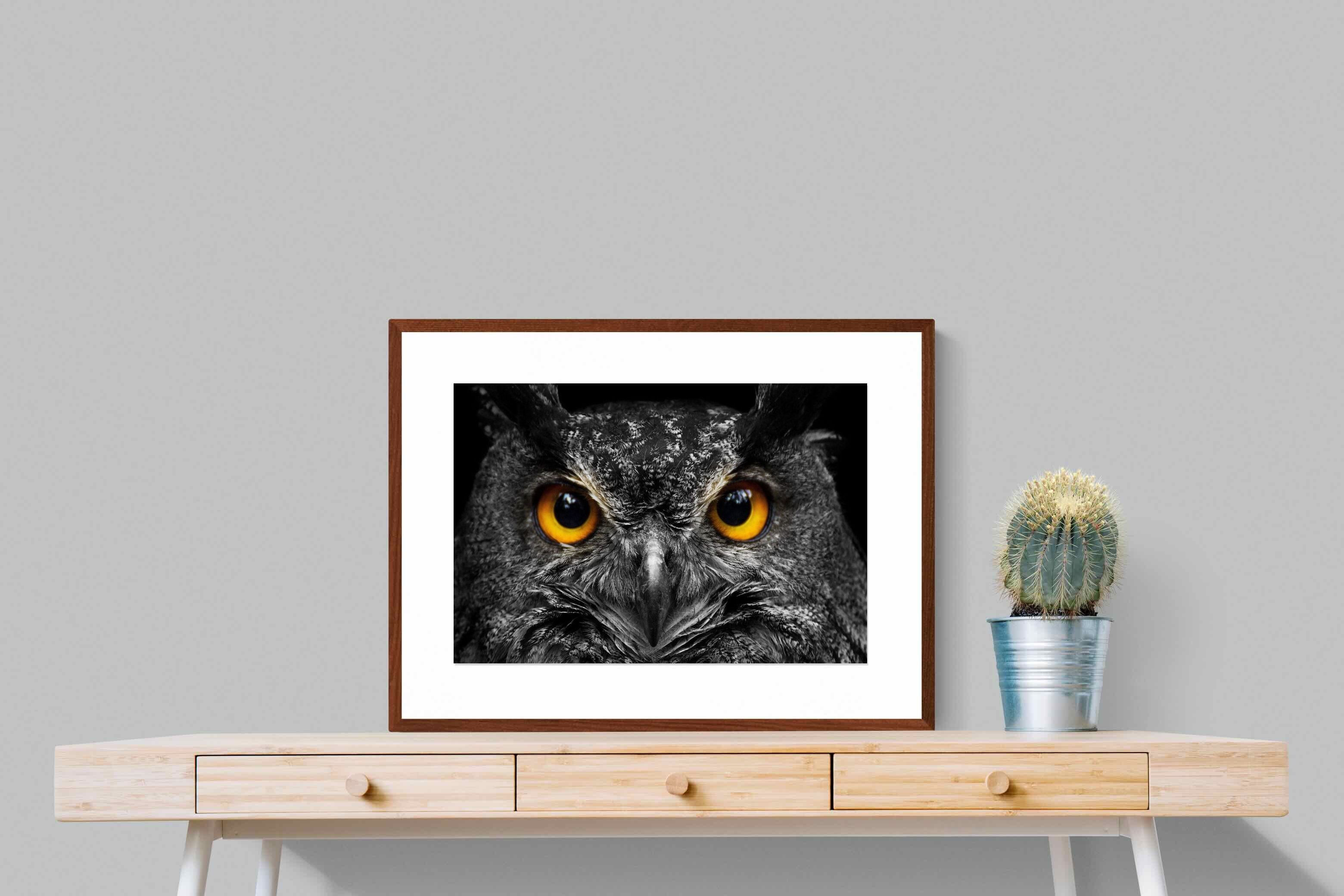 Pixalot ® Owl Eyes