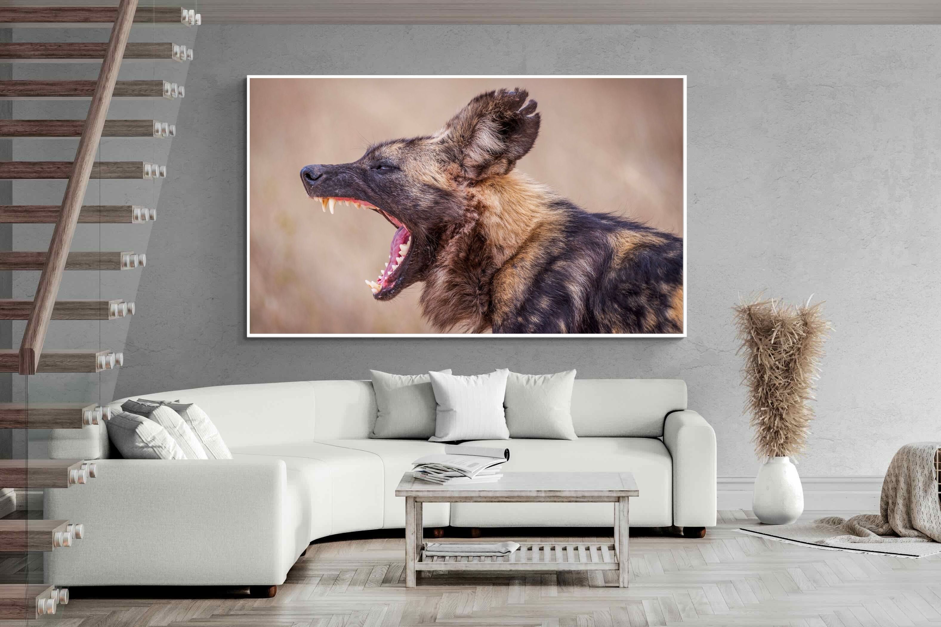 Pixalot Pack Dog