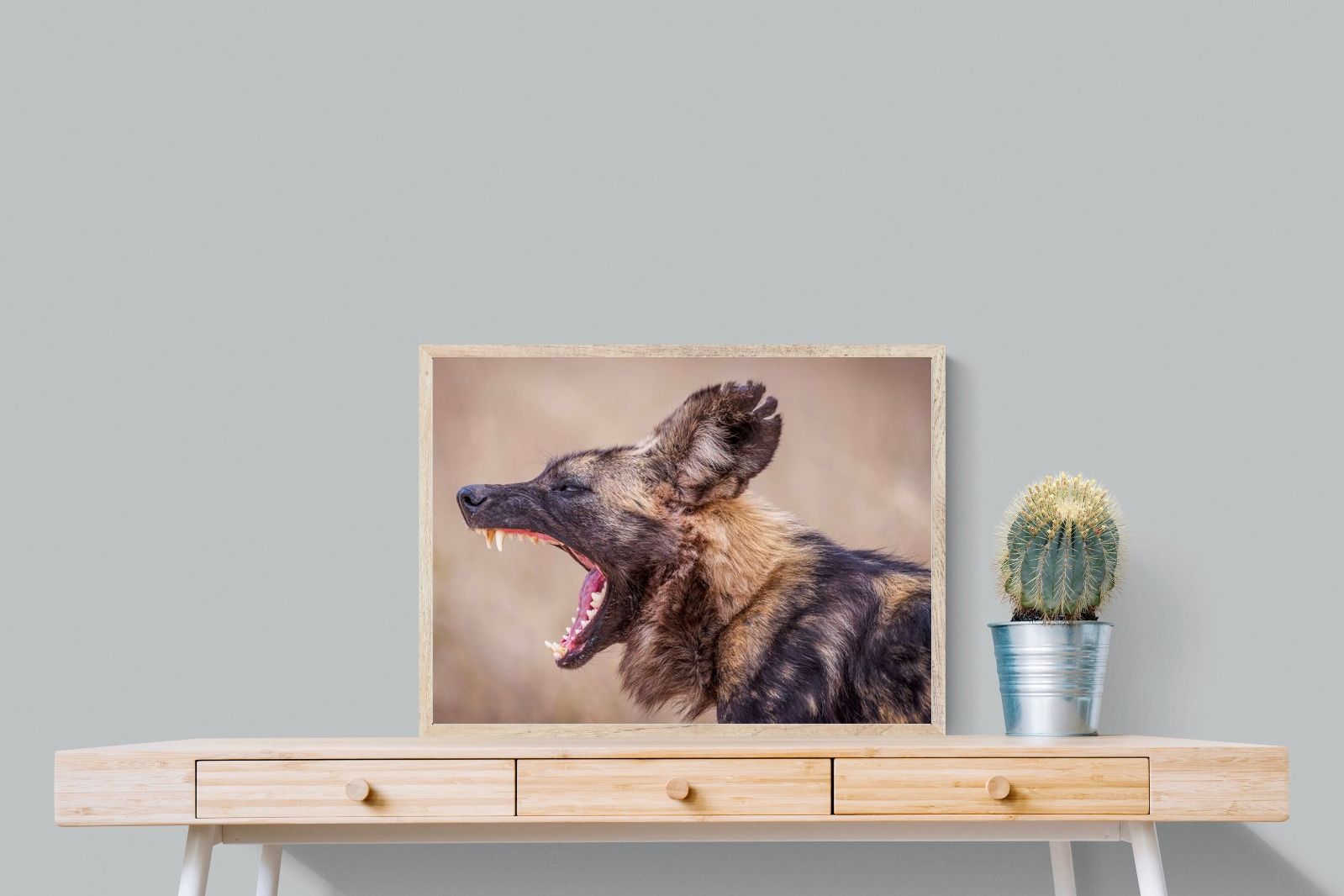 Pixalot Pack Dog