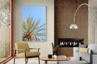 Pixalot Palm Radiance