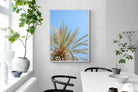 Pixalot Palm Radiance