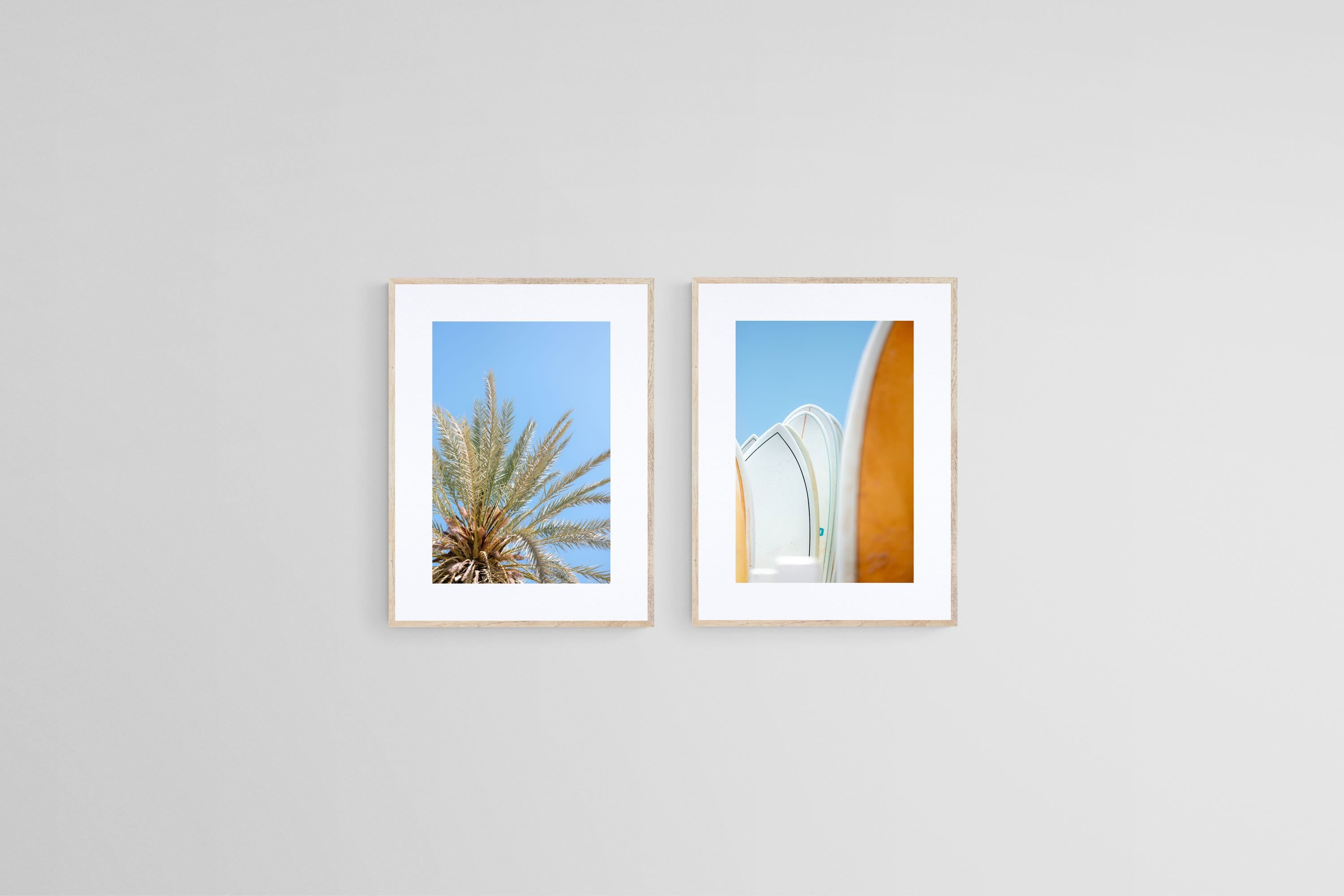 Palms & Boards Set