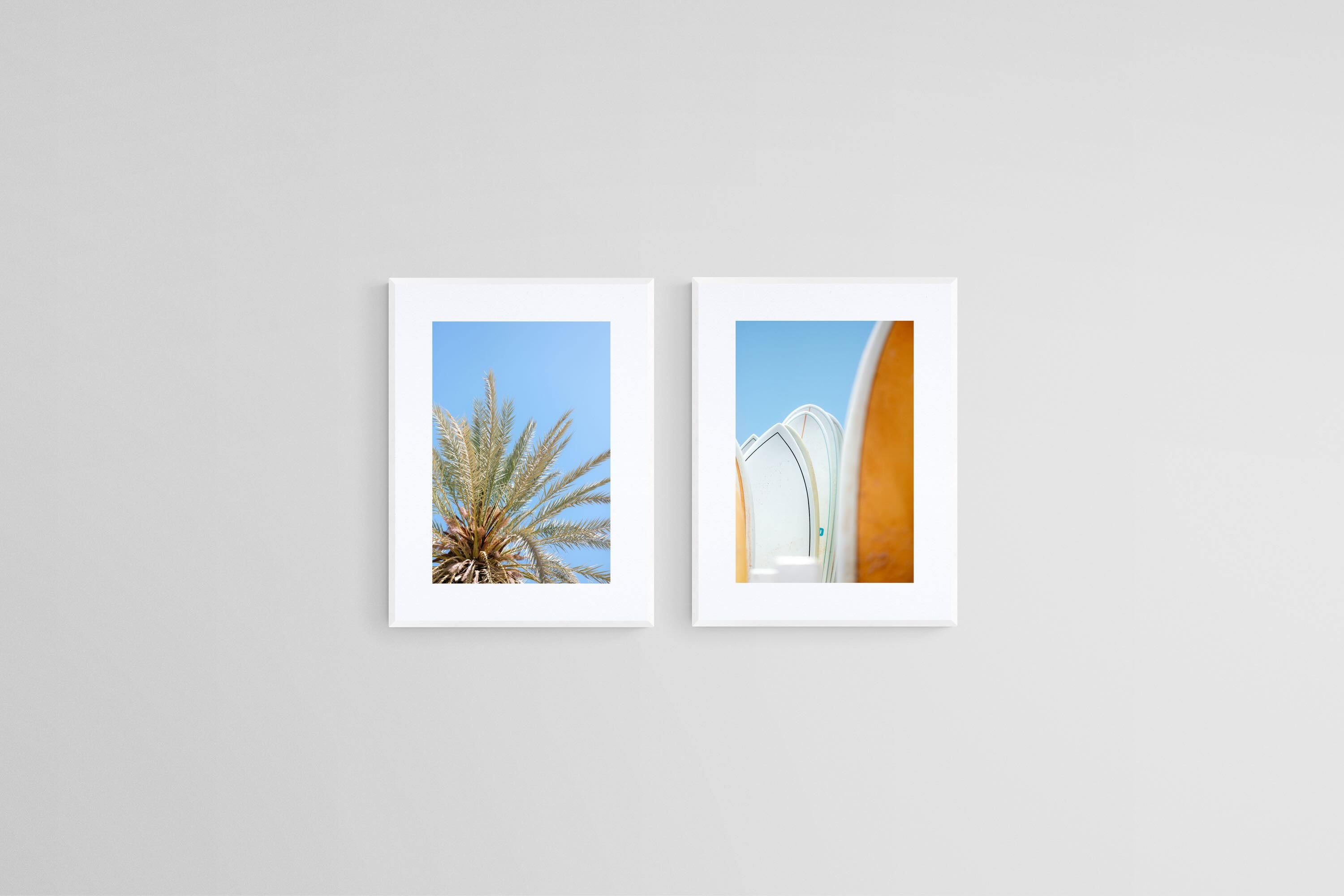 Palms & Boards Set