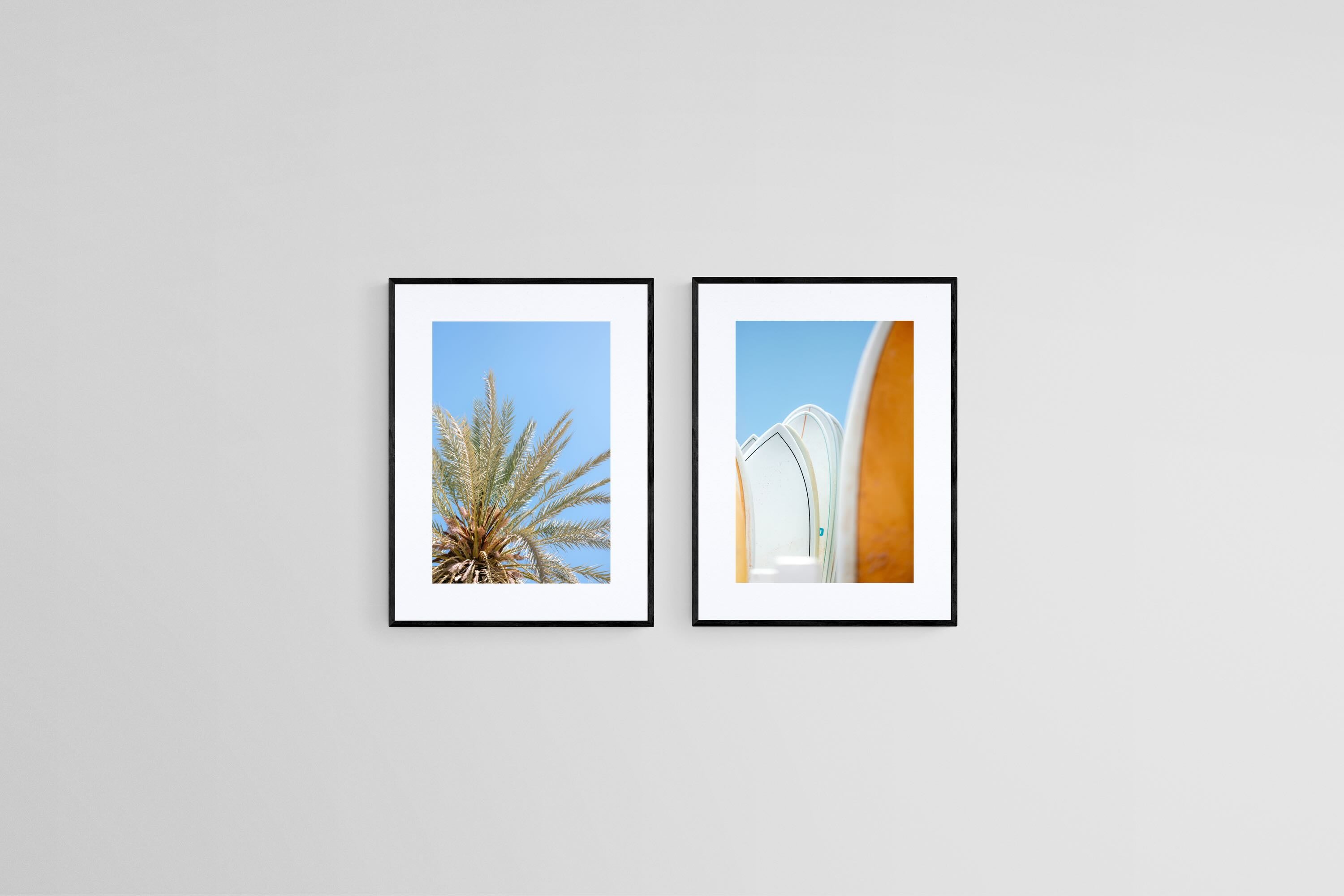 Palms & Boards Set