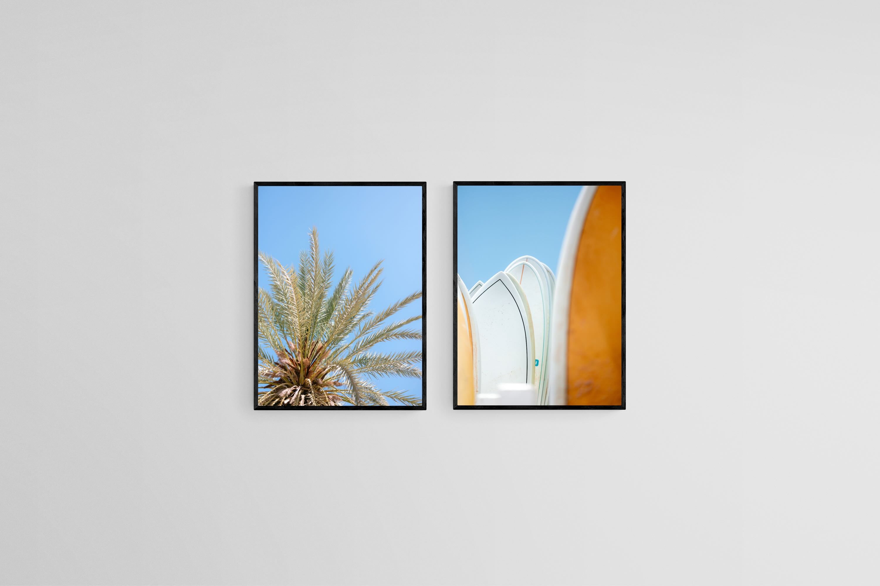 Palms & Boards Set