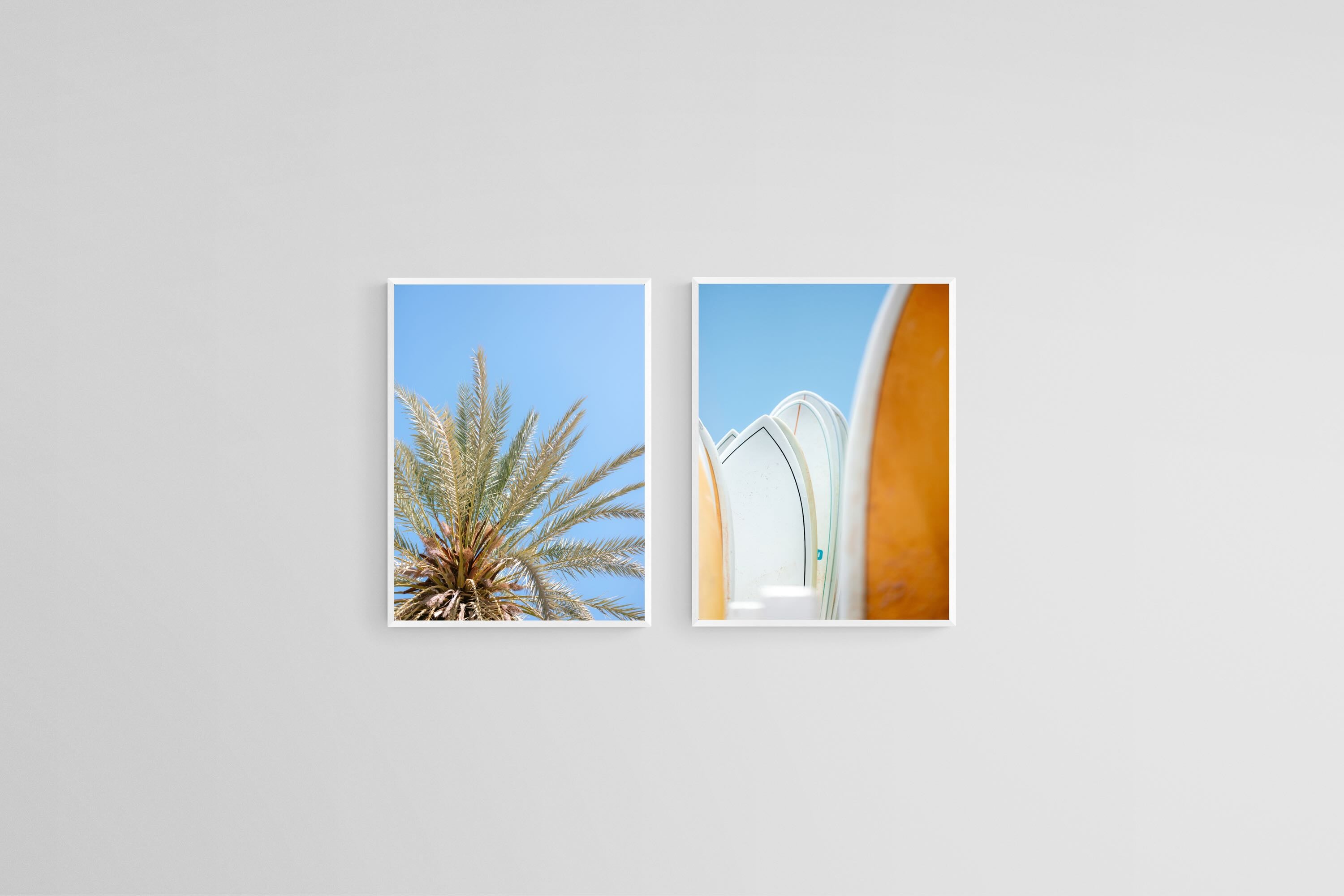 Palms & Boards Set