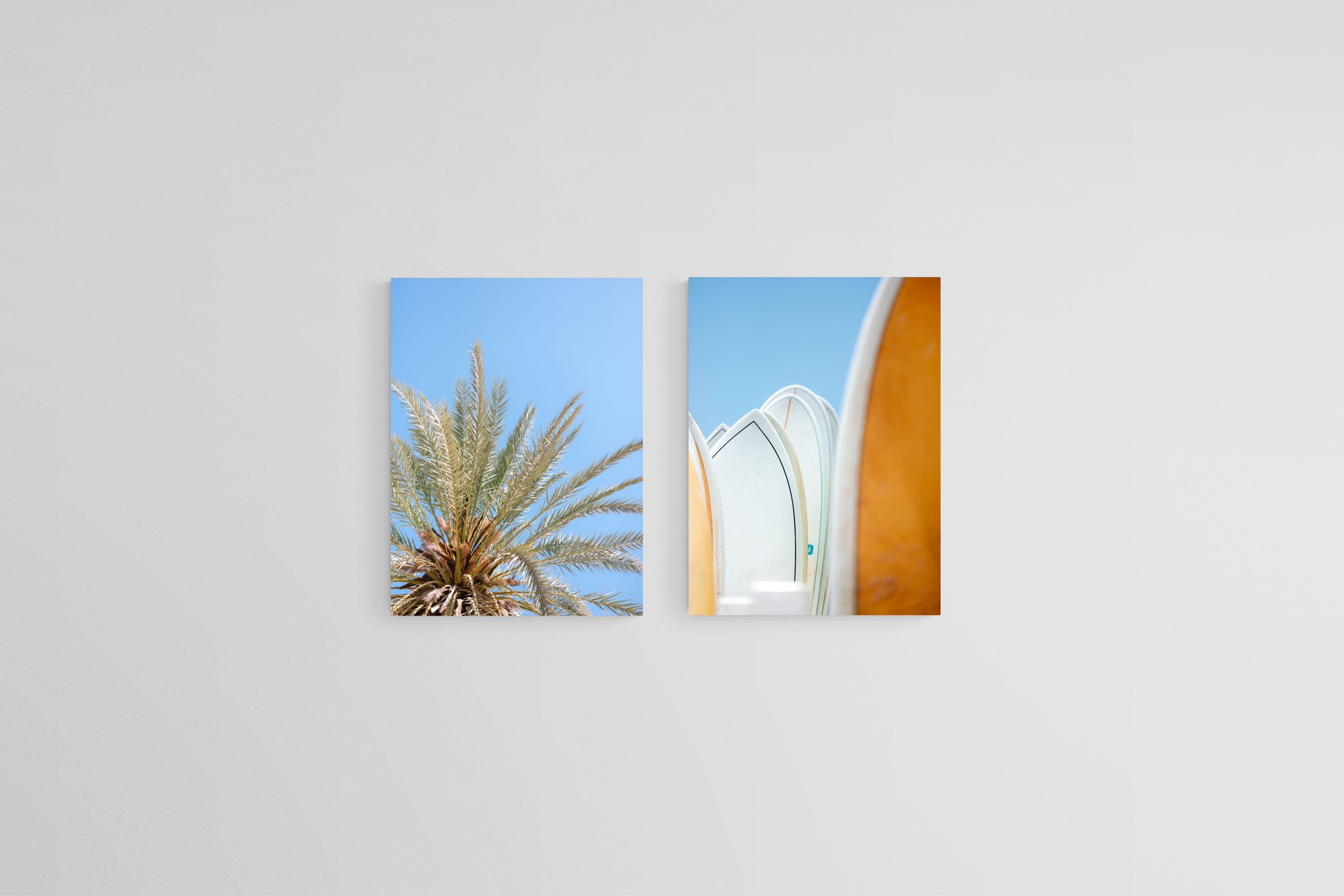 Palms & Boards Set