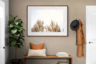 Pixalot ® Pampas Grass