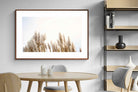 Pixalot ® Pampas Grass