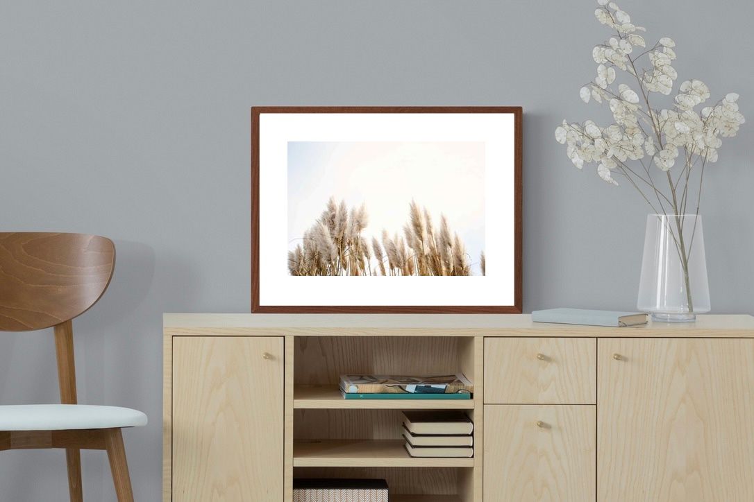 Pixalot ® Pampas Grass