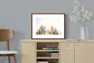 Pixalot ® Pampas Grass