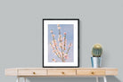 Pixalot Peach Blossoms