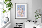 Pixalot Peach Blossoms