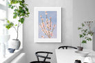 Pixalot Peach Blossoms