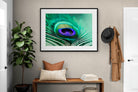 Pixalot Peacock Feather