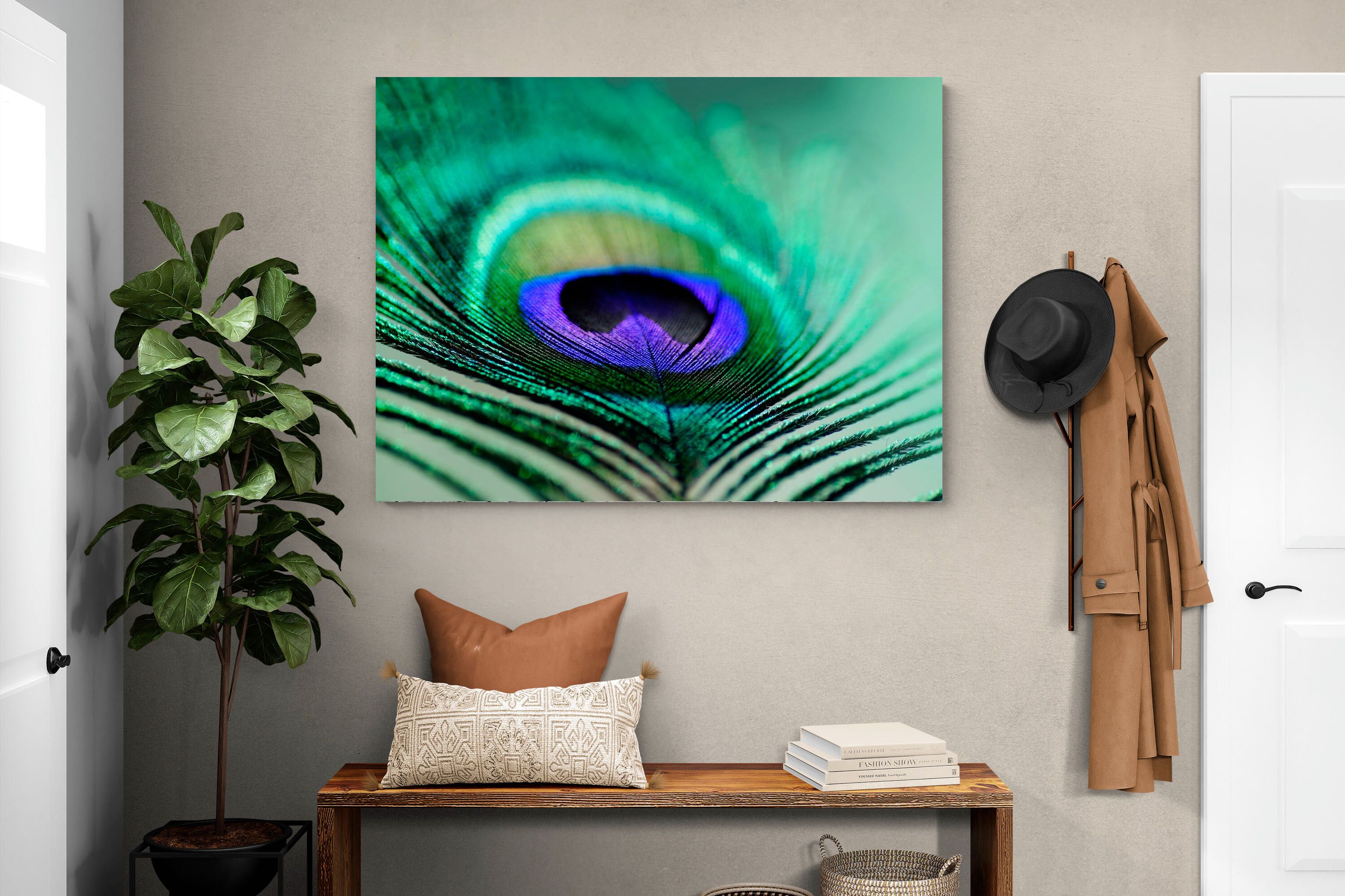 Pixalot Peacock Feather