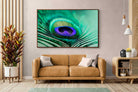 Pixalot ® Peacock Feather