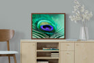 Pixalot ® Peacock Feather