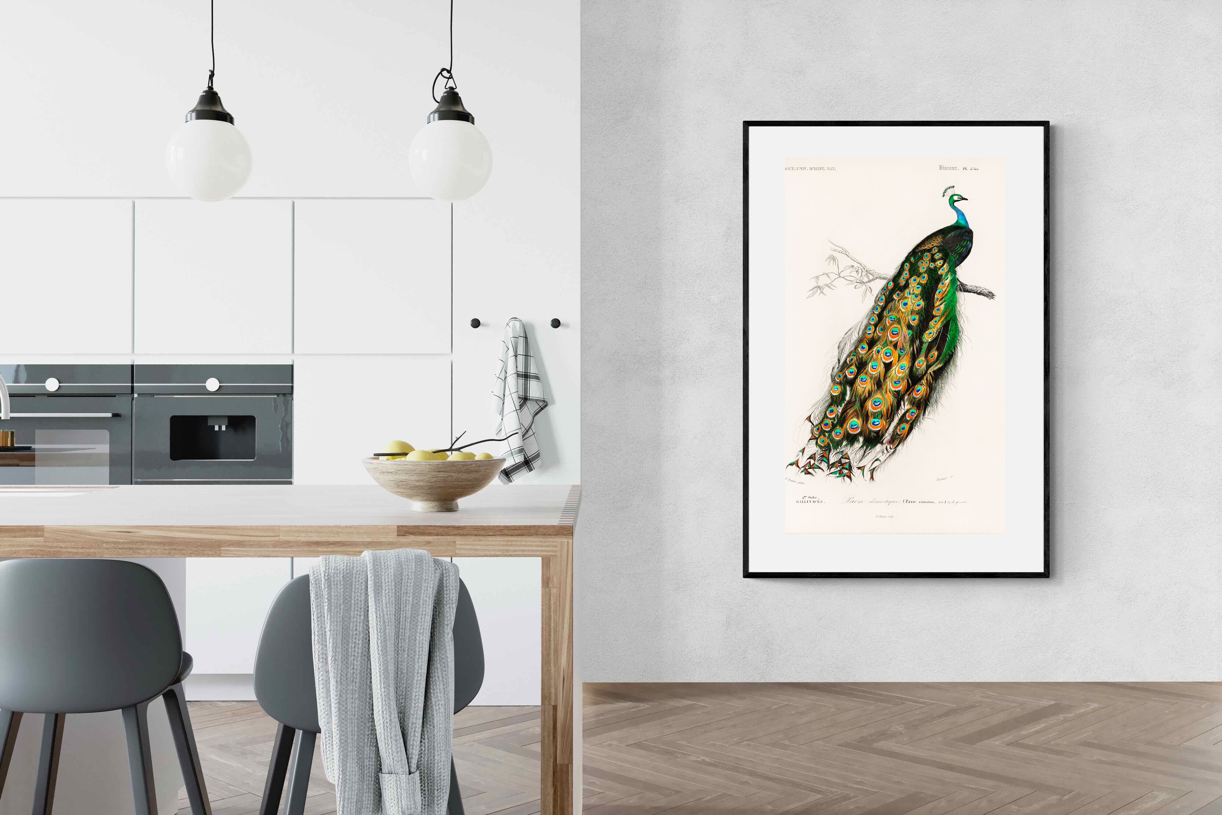 Pixalot Peafowl